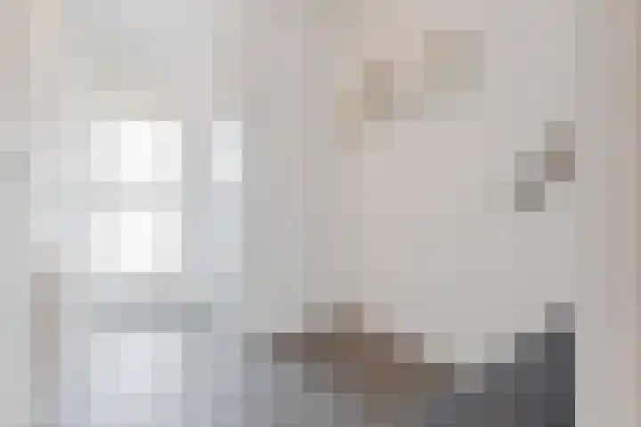 Strienestraat 13 Bergen op Zoom thumbnail 15