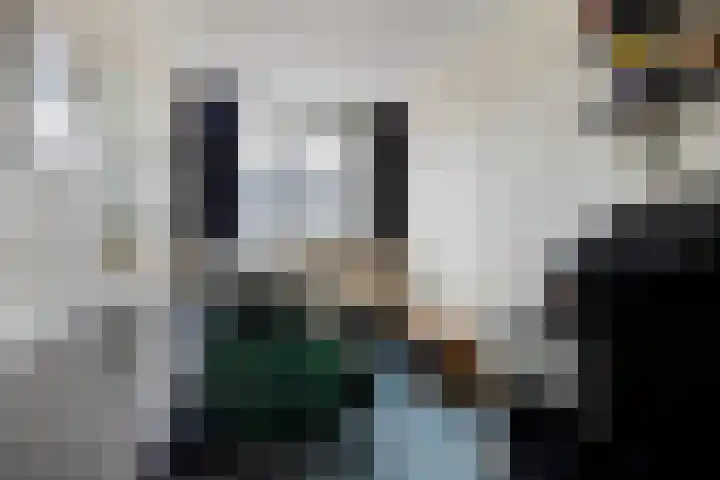 Strienestraat 5 Bergen op Zoom thumbnail 15