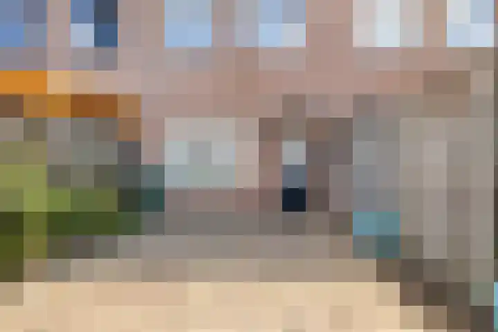 Strienestraat 5 Bergen op Zoom thumbnail 23