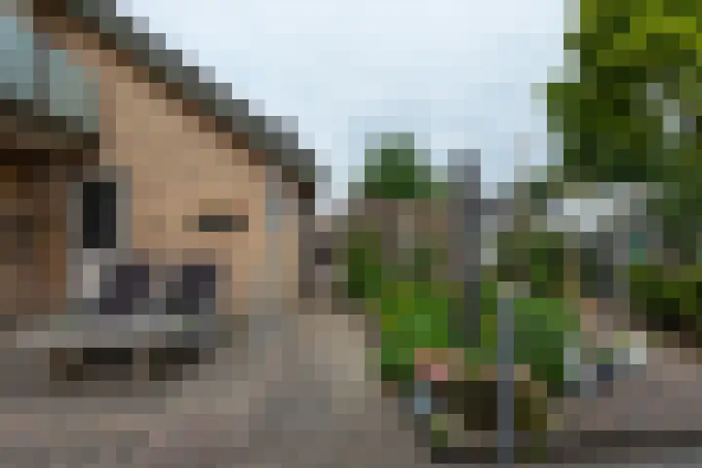 Striephoekstraat 26 Kattendijke thumbnail 16