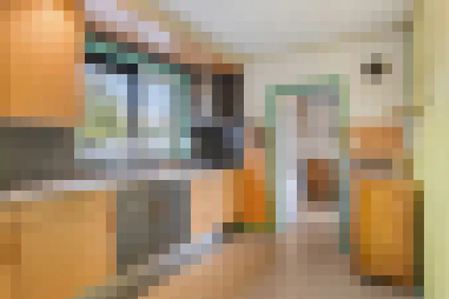 Striephoekstraat 26 Kattendijke thumbnail 21
