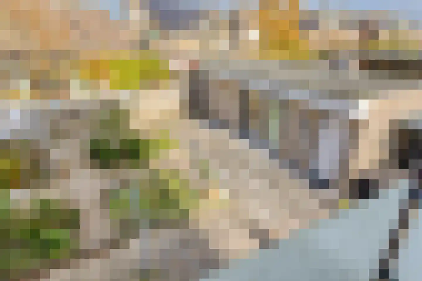 Striephoekstraat 26 Kattendijke thumbnail 32