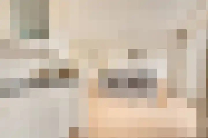 Striephoekstraat 30 Kattendijke thumbnail 17