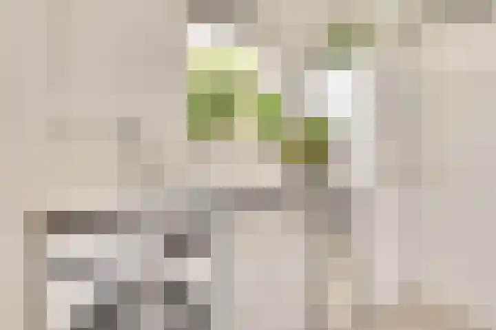 Striephoekstraat 30 Kattendijke thumbnail 18