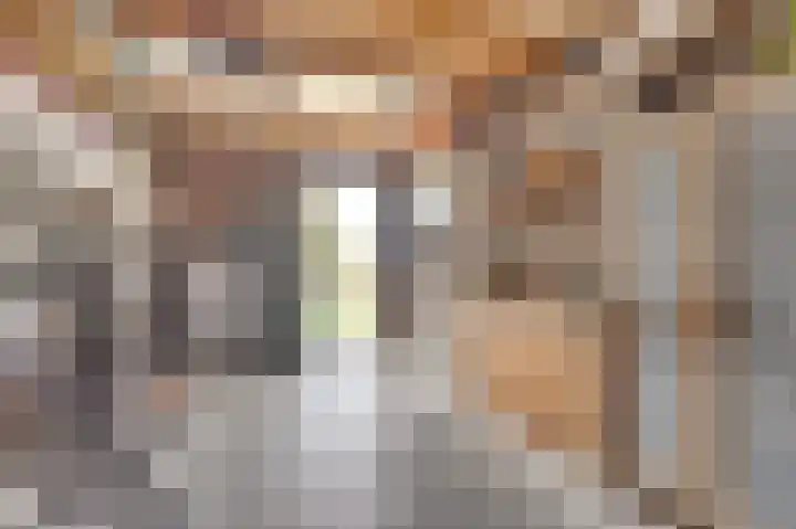 Striephoekstraat 30 Kattendijke thumbnail 38