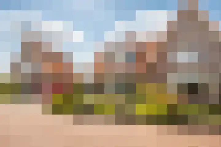 Striephoekstraat 30 Kattendijke thumbnail 4