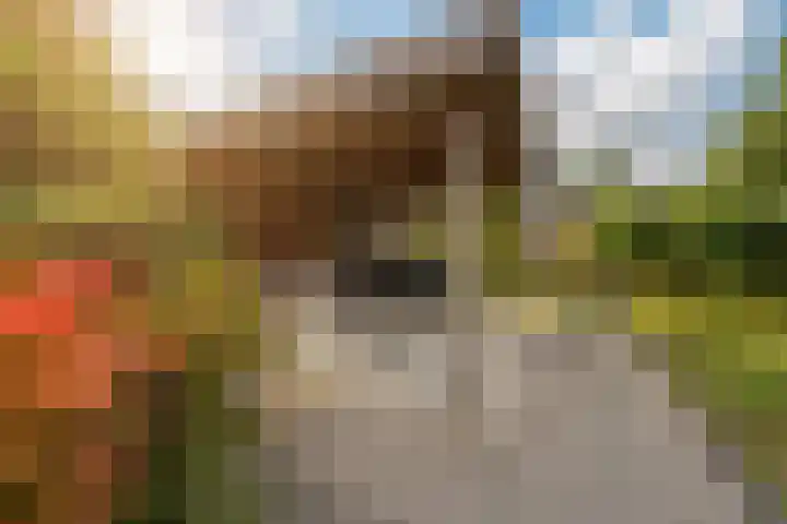Striephoekstraat 30 Kattendijke thumbnail 40