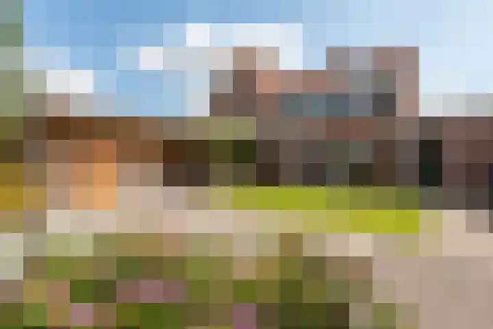 Striephoekstraat 30 Kattendijke thumbnail 41