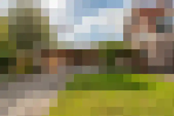 Striephoekstraat 30 Kattendijke thumbnail 42