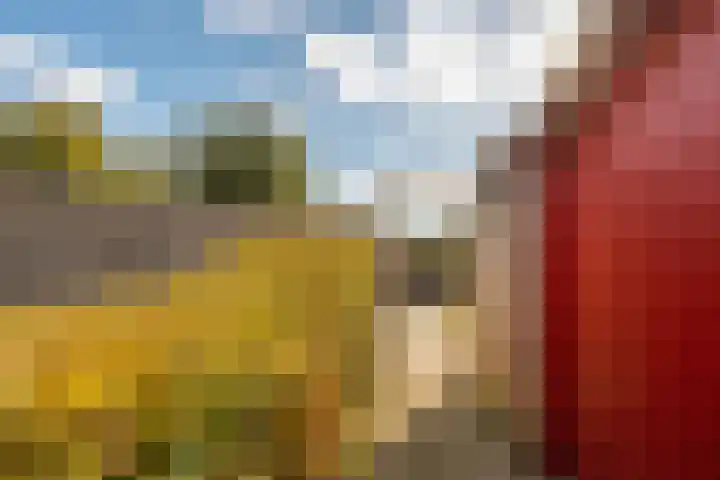 Striephoekstraat 30 Kattendijke thumbnail 43