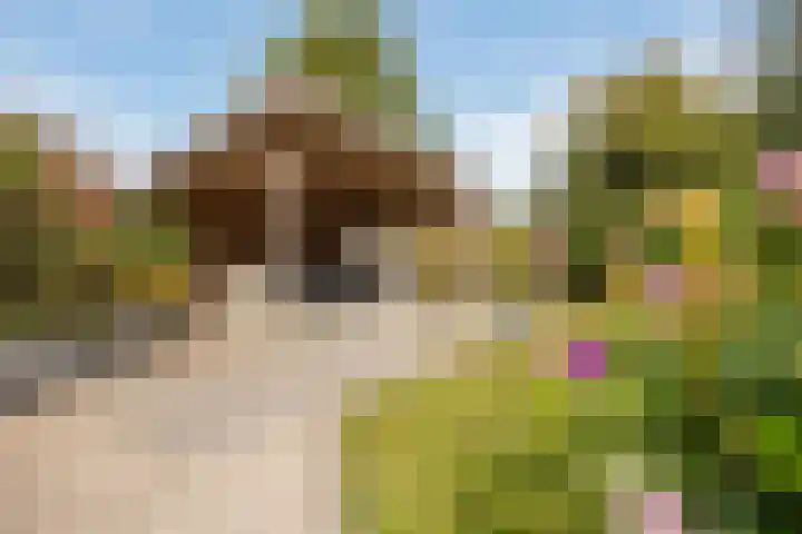 Striephoekstraat 30 Kattendijke thumbnail 45