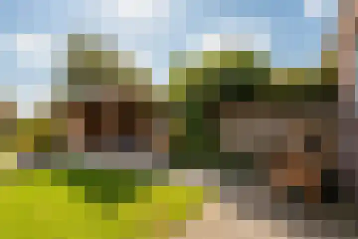 Striephoekstraat 30 Kattendijke thumbnail 46
