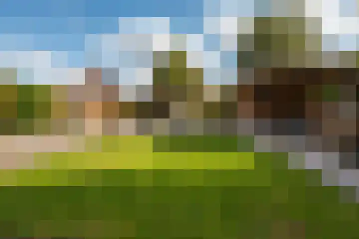 Striephoekstraat 30 Kattendijke thumbnail 47