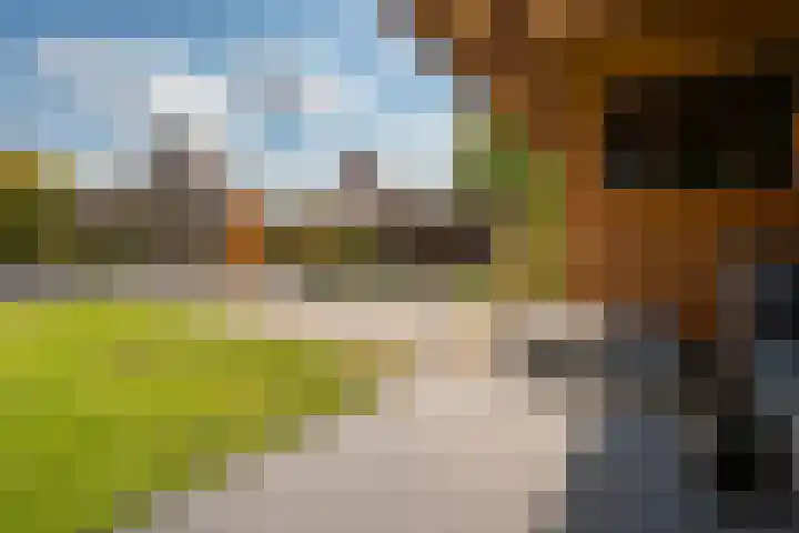 Striephoekstraat 30 Kattendijke thumbnail 49
