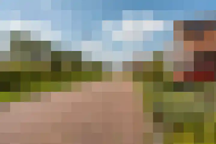 Striephoekstraat 30 Kattendijke thumbnail 5