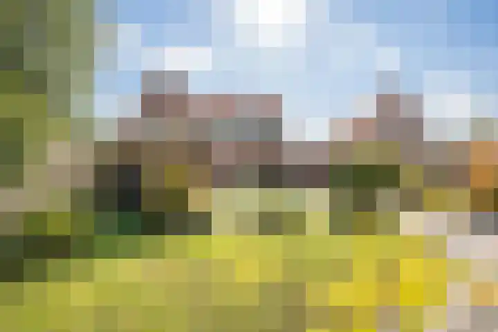 Striephoekstraat 30 Kattendijke thumbnail 52
