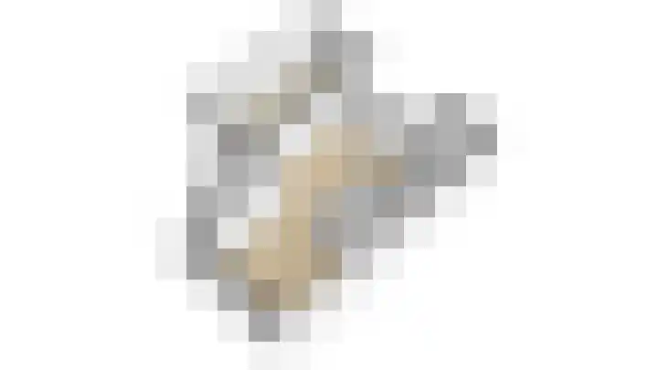 Striephoekstraat 30 Kattendijke thumbnail 58