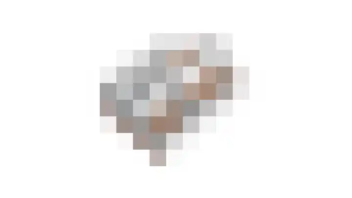 Striephoekstraat 30 Kattendijke thumbnail 59