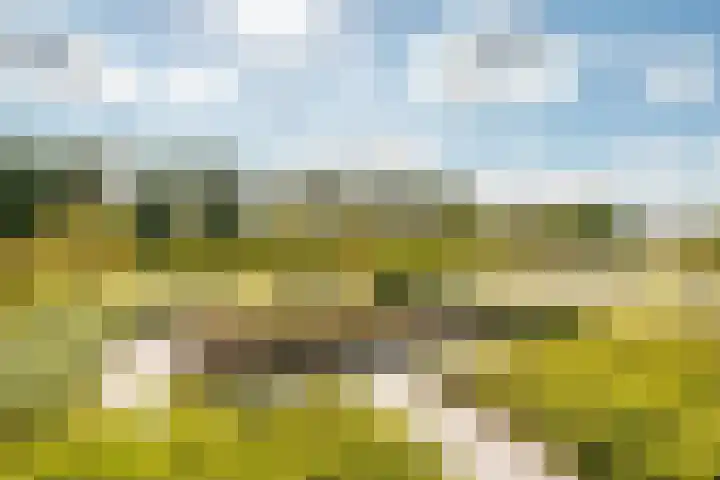 Striephoekstraat 30 Kattendijke thumbnail 6