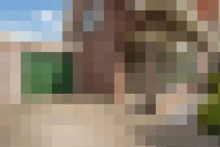 Striephoekstraat 30 Kattendijke thumbnail 7