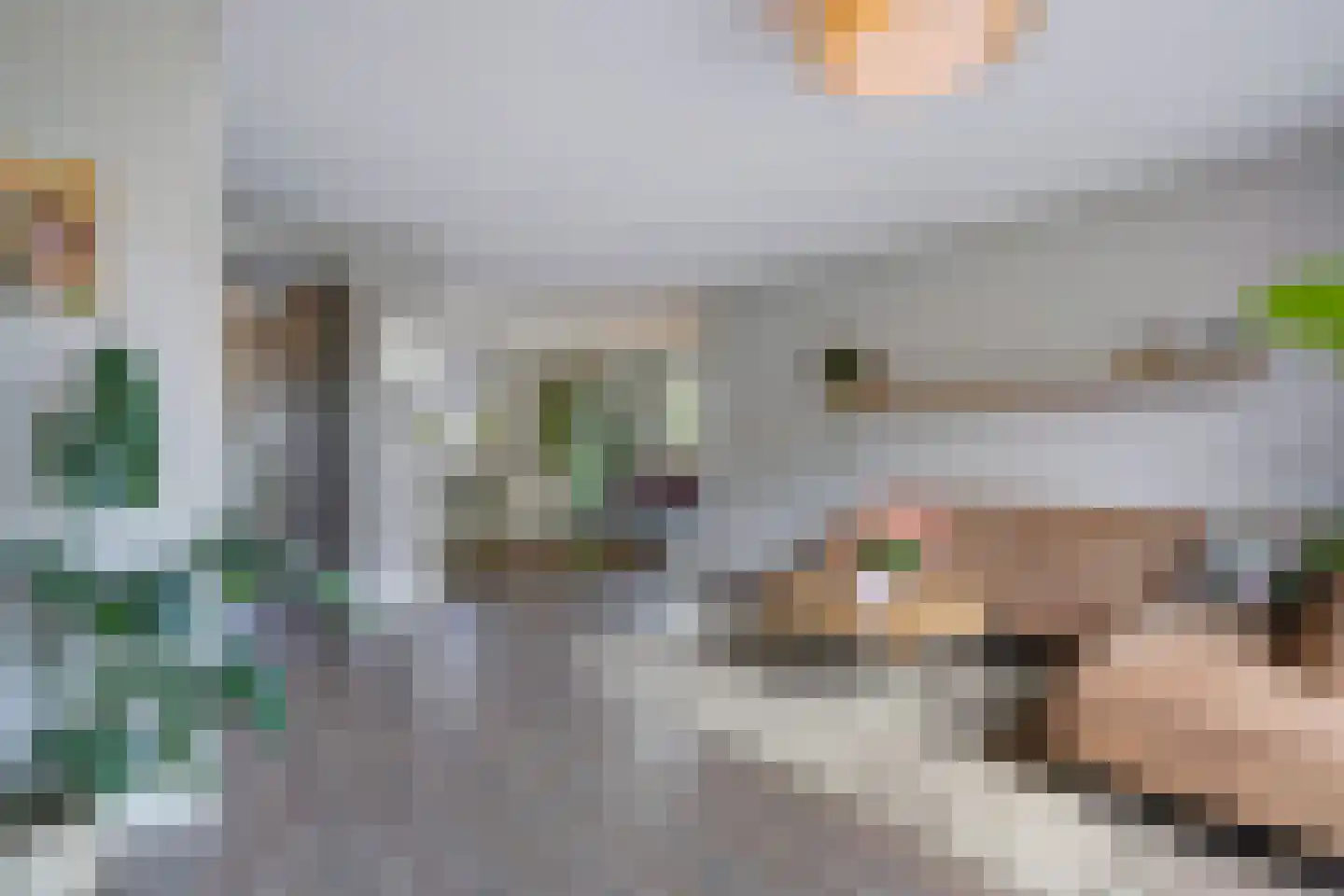 Strigastraat 10 Naaldwijk thumbnail 12