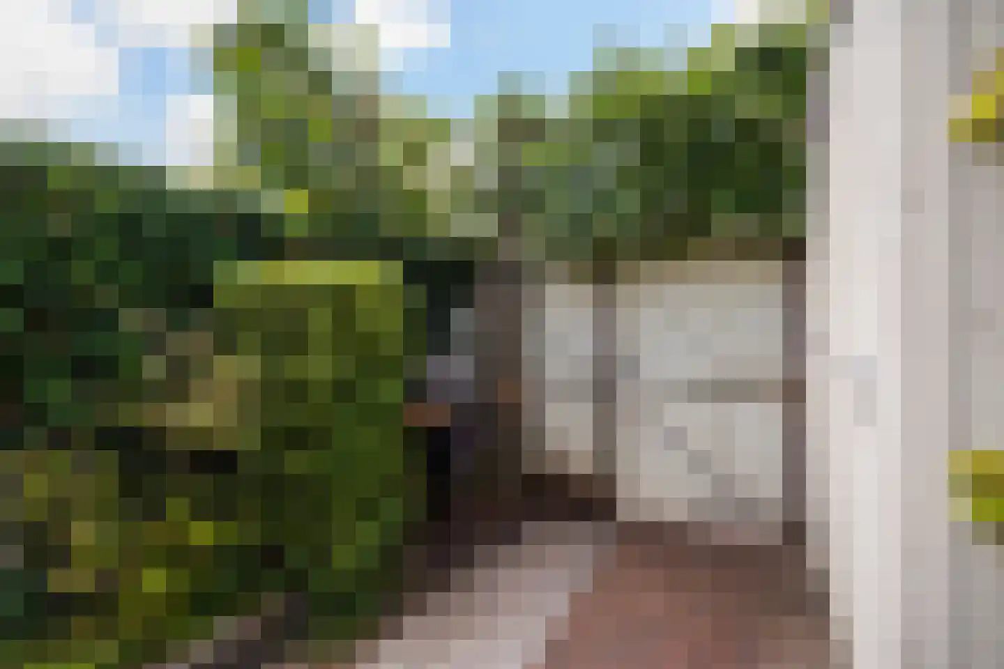 Strigastraat 10 Naaldwijk thumbnail 19
