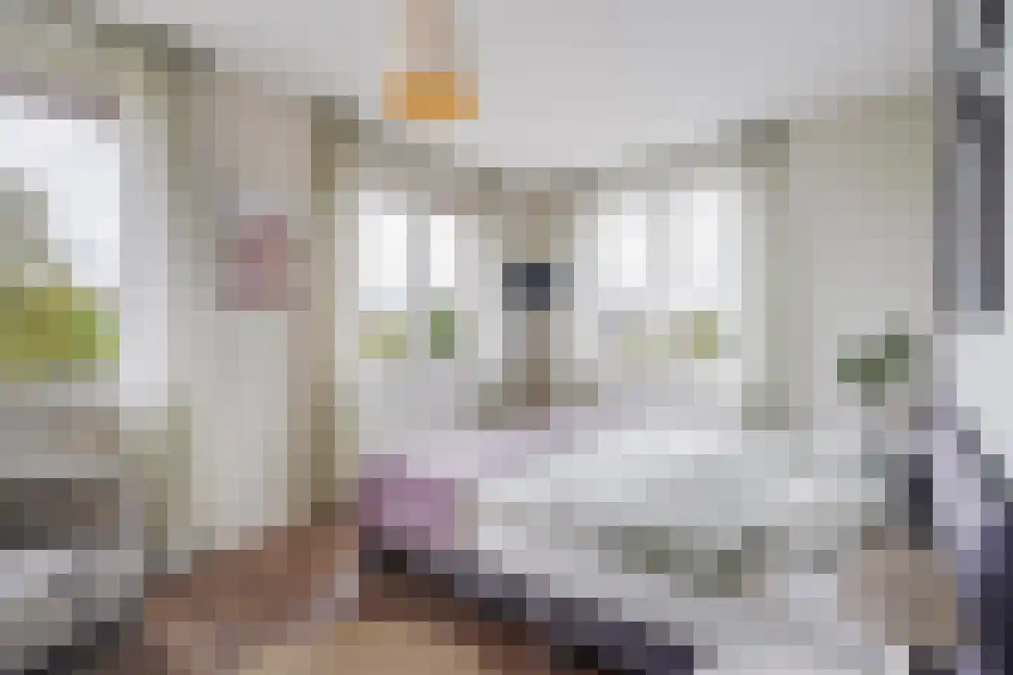 Strigastraat 10 Naaldwijk thumbnail 25
