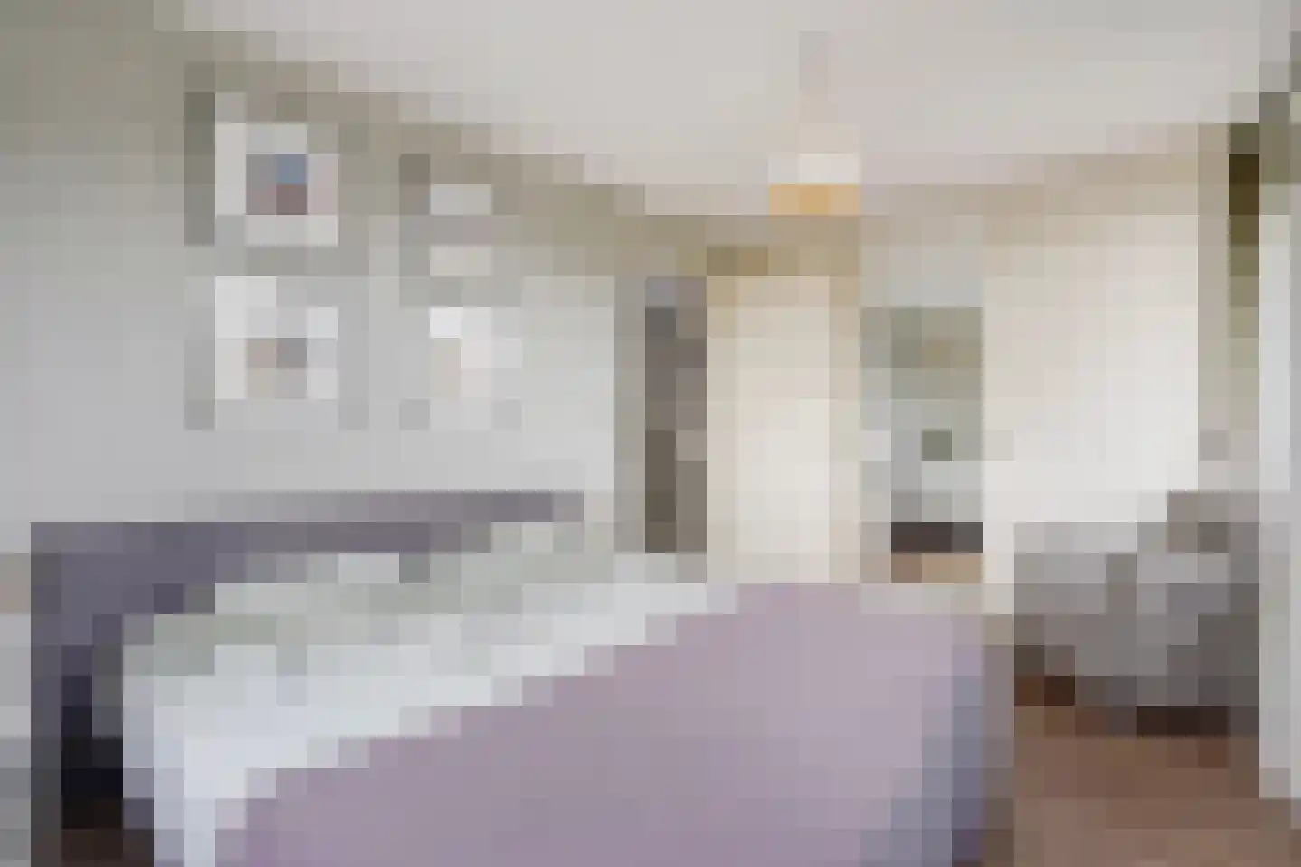 Strigastraat 10 Naaldwijk thumbnail 26