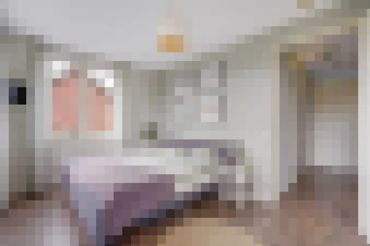 Strigastraat 10 Naaldwijk thumbnail 27