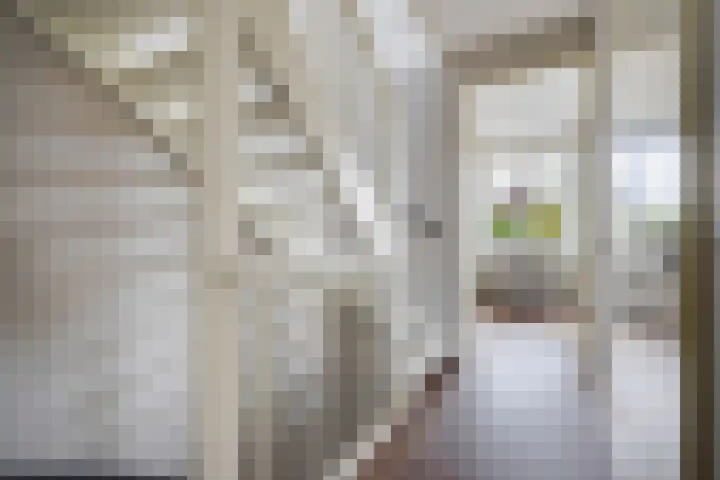 Strigastraat 10 Naaldwijk thumbnail 37