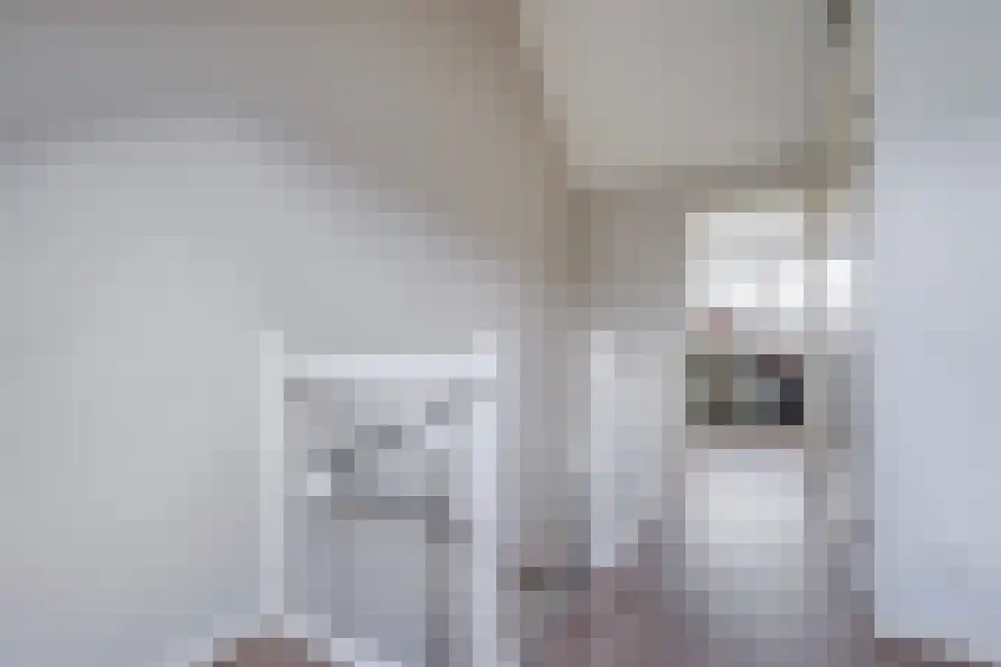 Strigastraat 10 Naaldwijk thumbnail 38