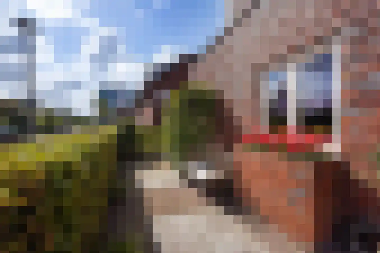Strigastraat 10 Naaldwijk thumbnail 54