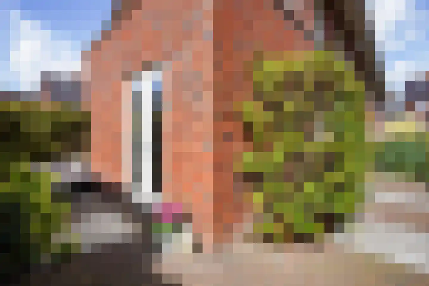Strigastraat 10 Naaldwijk thumbnail 55