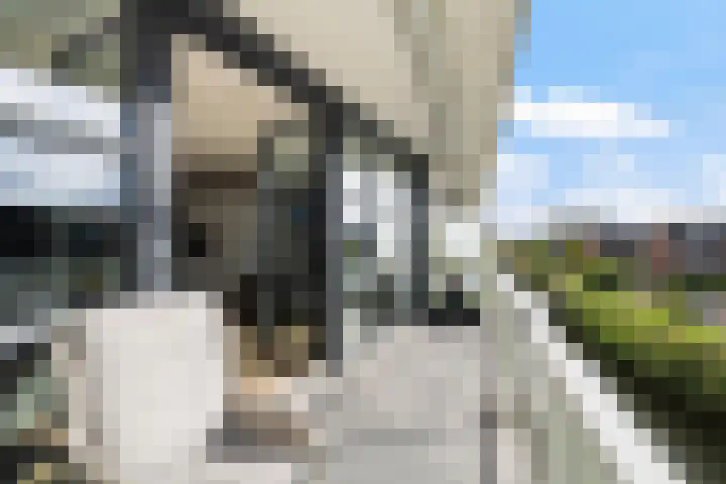 Strigastraat 25 Naaldwijk thumbnail 13