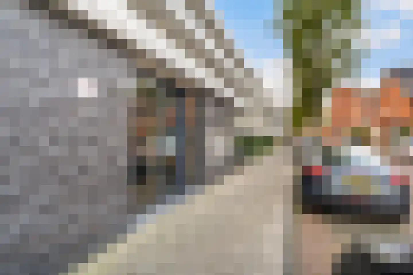 Strigastraat 25 Naaldwijk thumbnail 43