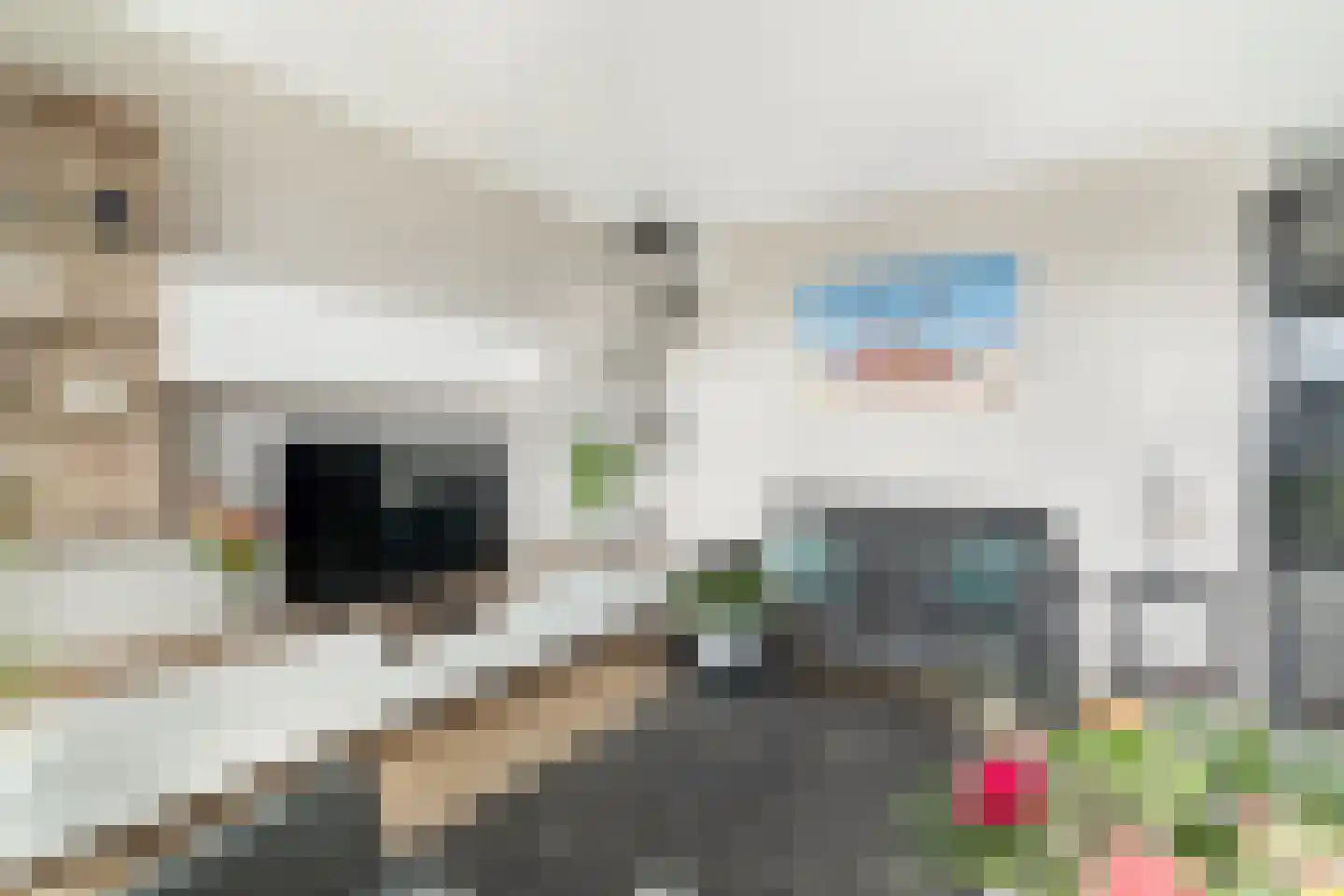 Strigastraat 25 Naaldwijk thumbnail 7