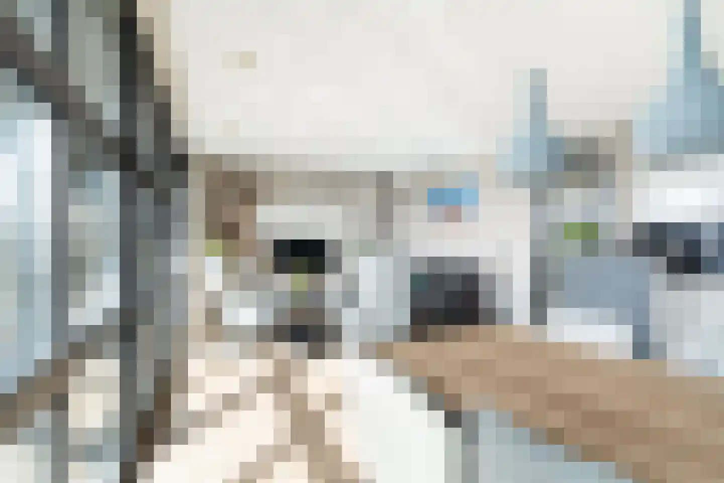 Strigastraat 25 Naaldwijk thumbnail 9