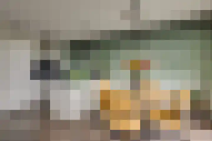 Strigastraat 27 Naaldwijk thumbnail 4