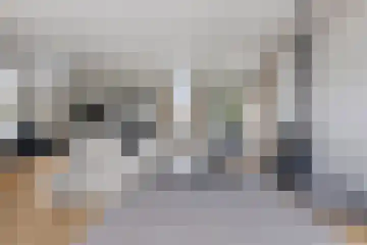 Strijbeekseweg 1 Ulvenhout thumbnail 15