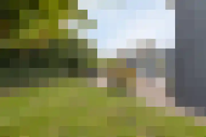 Strijbeekseweg 1 Ulvenhout thumbnail 50