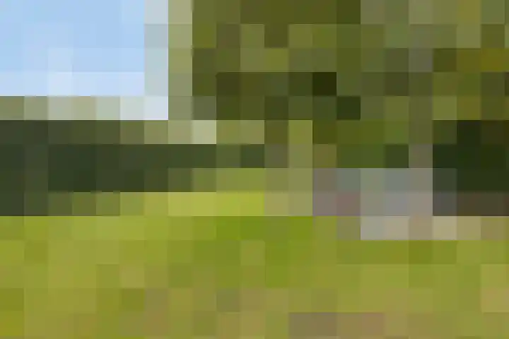 Strijbeekseweg 1 Ulvenhout thumbnail 52