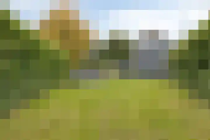 Strijbeekseweg 1 Ulvenhout thumbnail 53