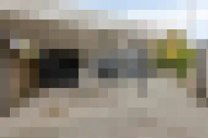 Strijbeekseweg 1 Ulvenhout thumbnail 57