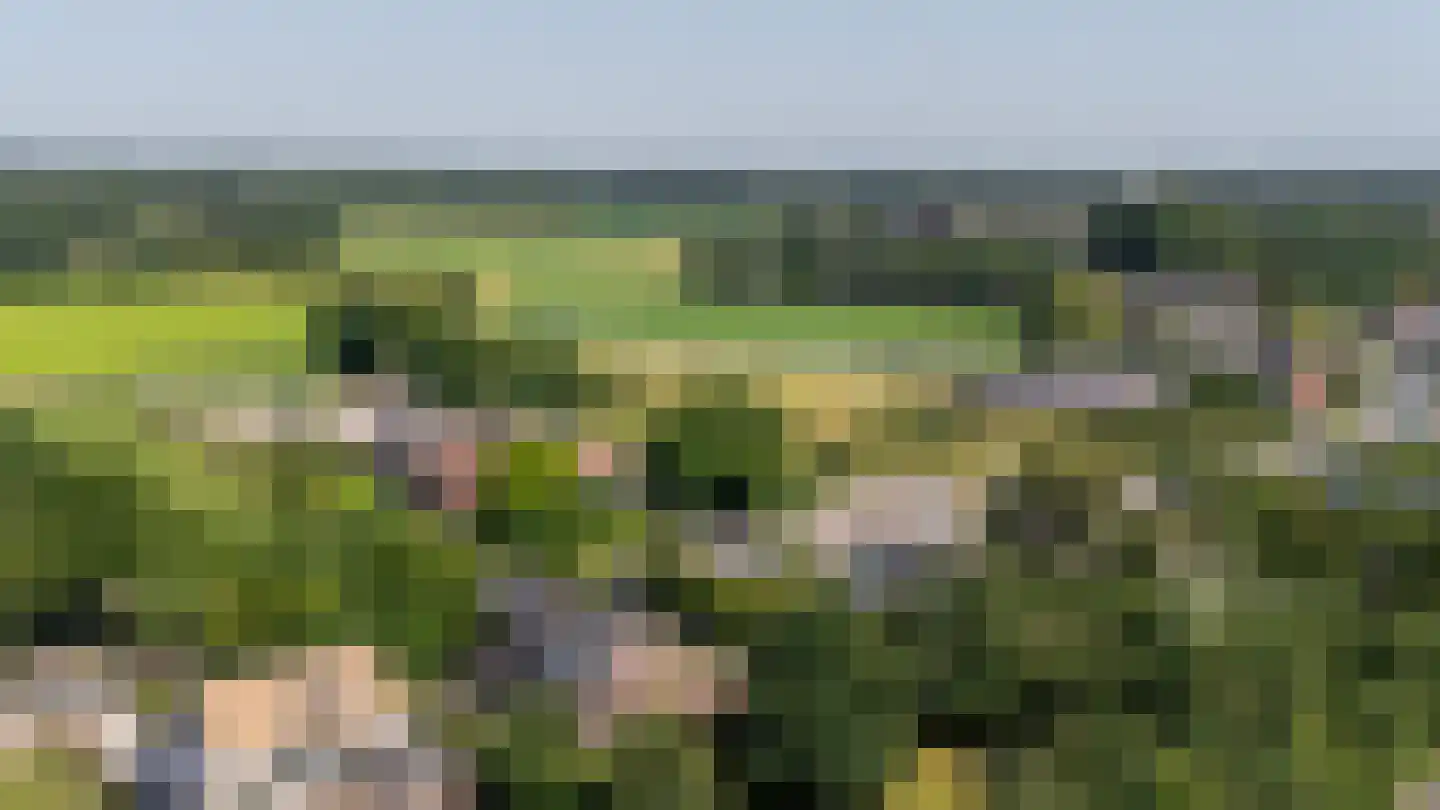 Strijbeekseweg 13 Ulvenhout thumbnail 64