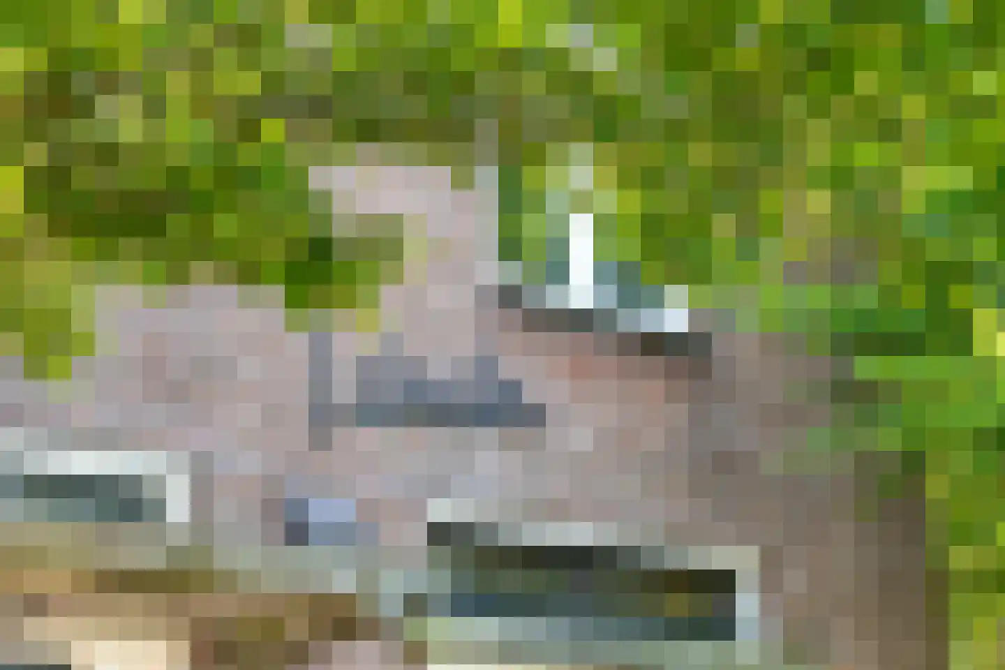 Strijbeekseweg 13 Ulvenhout thumbnail 8