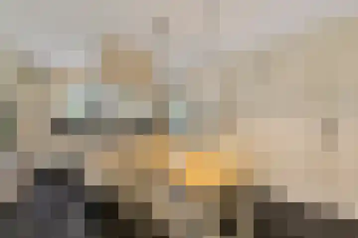 Strijbeekseweg 52 Strijbeek thumbnail 16