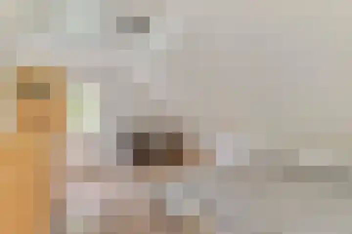 Strijbeekseweg 52 Strijbeek thumbnail 27