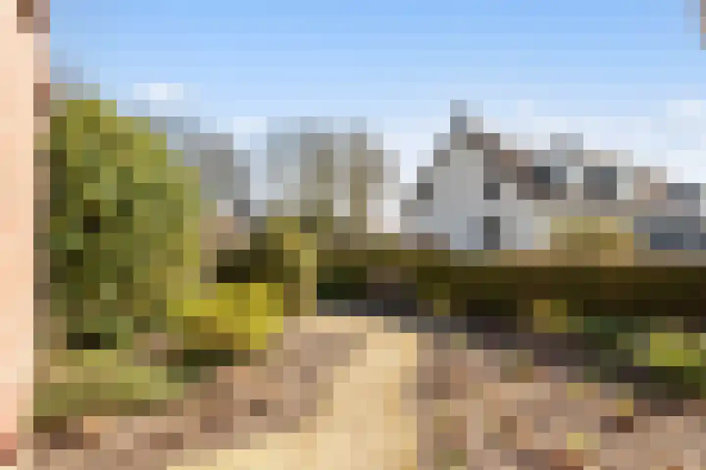 Strijbeekseweg 64 Strijbeek thumbnail 33