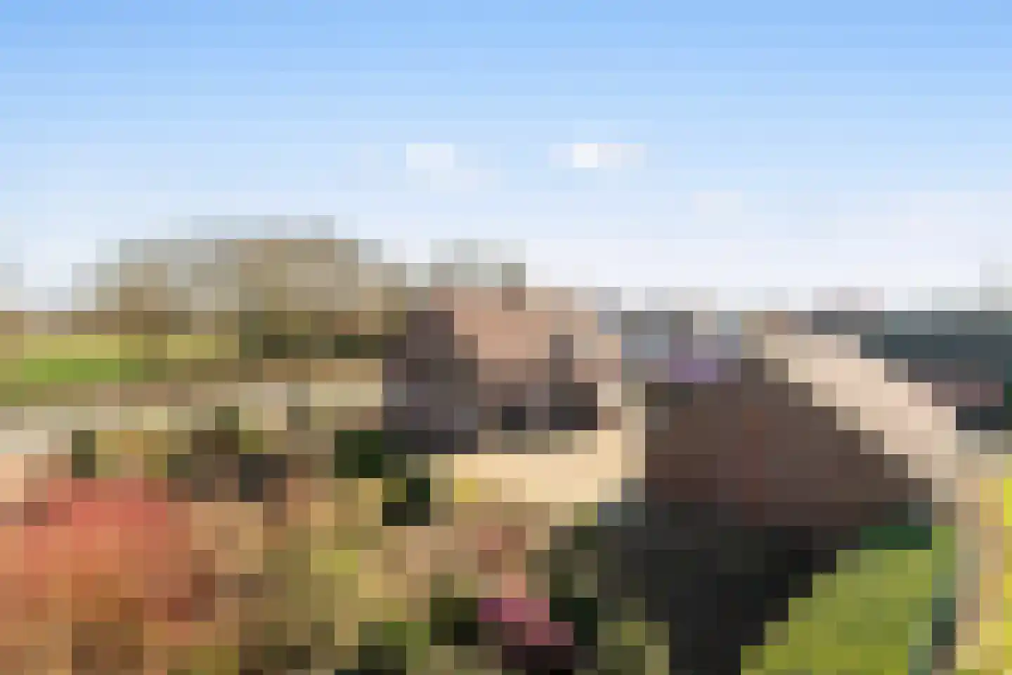 Strijbeekseweg 64 Strijbeek thumbnail 5