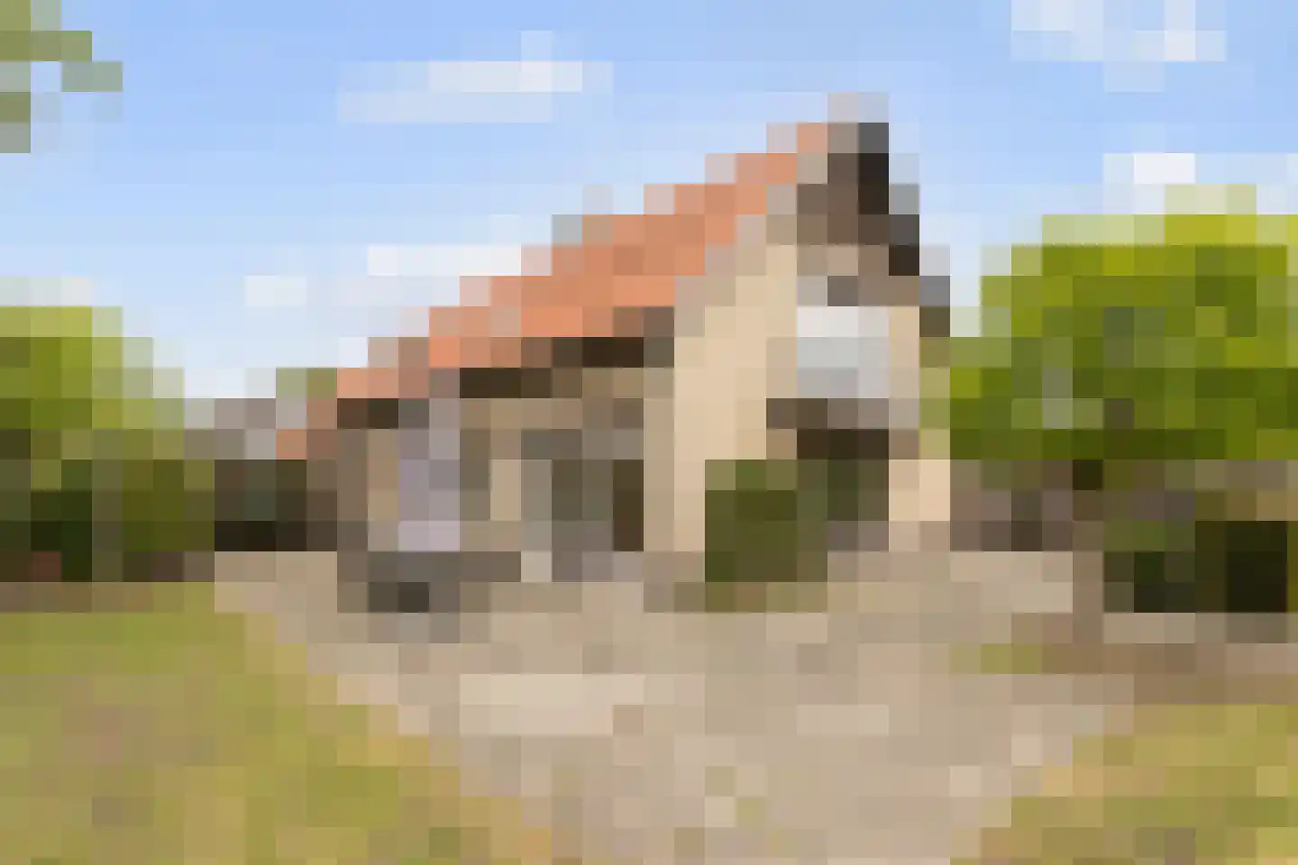 Strijbeekseweg 70 Strijbeek thumbnail 4